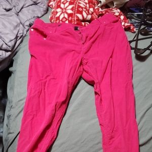 Hot pink corduroy feel pants